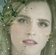 Renatus by @somanybeanbags