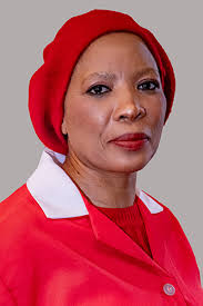 Nosipho Makamba-Botya Attendances :: People's Assembly