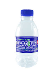 Now you know the answer to your question if aruba water is safe to drink, you can start thinking about packing. Purchase Wholesale 48 X 250 Ml Cactus Mineral Water 48 Units Per Carton From Trusted Suppliers In Malaysia Dropee Com