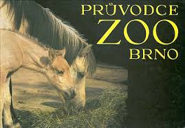 Listen to tarpane | soundcloud is an audio platform that lets you listen to what you love and share the sounds you create. Der Artikel Mit Der Oldthing Id 31197480 Ist Aktuell Ausverkauft