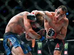 I decided to look into the matter myself. Joe Rogan Feuert Warnung An Dana White Und Co Uber Die Gefahren Des Hosting Ufc 249 Aktuelle Boulevard Nachrichten Und Fotogalerien Zu Stars Sternchen