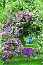 Une Cascade De Roses En Seine Et Marne Fleur Jardin Jardin Maison Jardins