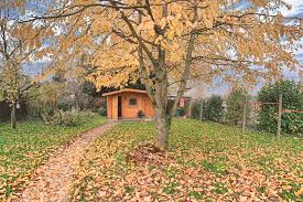 Kürze werdende tage läuten bereits im september das ende der gartensaison ein. Pflanzen Im Herbstgarten Ideenratgeber Obi