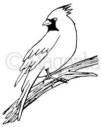 Step by step draw home appliance. Handsome Cardinal Bird Drawings Bird Sketch Button Art