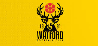 This is a competition i entered to redesign watford fc's badge. Premiership Clubs Football Badges Pins Vintage Watford Fc Club Mascot Badge Sports Memorabilia Ubi Uz