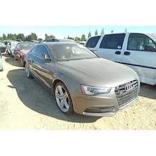 Image result for Dakota Gray 2014 AQ