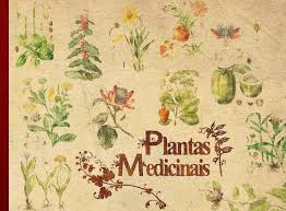 Estamos en constante búsqueda e investigación de la mejor información para come sano, grasas buenas, baja en carbohidratos simple, buenos carbohidratos complejos, buena. Apostila Plantas Medicinais By Dea Umapaz Issuu