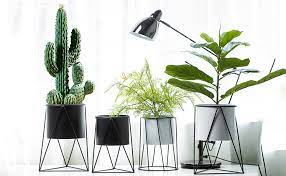 Brass look pot on stand. Baffect Metal Plant Stand With Flower Pot Iron For Garden Home Table Office Decor Indoor Amazon De Garden