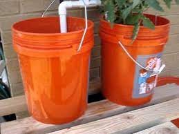 Aquaponics 5 Gallon Bucket Aquaponic