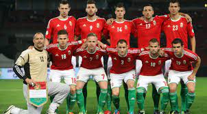 Social Groups This Picture Shows Hungary S National Football Team The Most Popular Sport In Hungary Is So National Football Teams Most Popular Sports Hungary