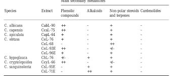 Image result for Cryptolepis hypoglauca