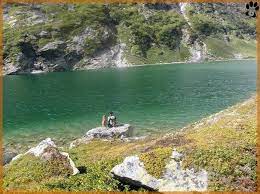 Pin Op Holliday With The Dog