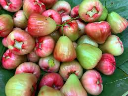 There are so many new apple varieties to try! Pin On Shantiniketan