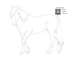 Restore black and white photos. Usda Forest Service Wild Horse And Burro Program Coloring Page