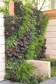 Marshalls Living Street Garden Designed By Ian Dexter Was One Of The Highlights Of 2009 S Chelsea Flower Sh Vertical Garden Beautiful Gardens Front Yard Design