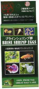 ニチドウ ブライン シュリンプ