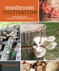 Previous to their cultivation, oyster mushrooms were popular edible species among mushroom collectors who delight in going out and collecting their own mushrooms for consumption. Mushroom Cultivation An Illustrated Guide To Growing Your Own Mushrooms At Home Lynch Tavis 9781631594045 Amazon Com Books