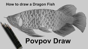 Berikut ini adalah cara menggambar ikan menggambar ikan nemo warna warni menggambar ikan hias adapun bahan dan alatnya. 1000 Sketsa Gambar Ikan Yang Mudah Digambar