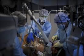 Xyj full đường handmade bộ ăn thịt dao đầu bếp dao nhà bếp cao cấp carbon bọc thép rau củ filleting cắt lát tặng dao bao vỏ bọc. Cdnmedia Baotintuc Vn Upload Dmdnzyela7xudtdlsa