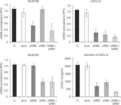 Buy bric a brac and get the best deals at the lowest prices on ebay! The Atypical Rho Gtpase Rhobtb2 Is Required For Expression Of The Chemokine Cxcl14 In Normal And Cancerous Epithelial Cells Oncogene