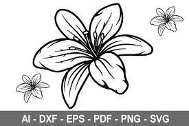 Free Free 266 Vector Lily Flower Svg SVG PNG EPS DXF File