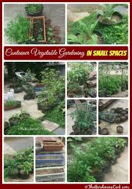 Gardening in dryer climates requires special care to ensure that plants receive enough moisture, while wet climate gardeners must watch for mildew and perhaps your front porch is loaded with afternoon sunlight, or a patch of land next to the garage seems perfect for growing a small space garden. Container Vegetable Gardens For Small Spaces The Gardening Cook