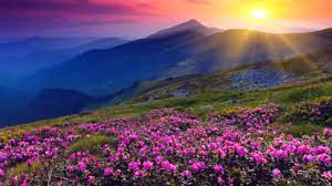 Pink and brown trees digital wallpaper, artwork, fantasy art. 4k Nature Wallpapers Beautiful Youtube