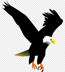 Manusia purba disebut dengan (prehistoric people) manusia prasejarah yang belum mengenal tulisan. Bald Eagle Bird Bulu Elang Hitam Rambut Hitam Hewan Hitam Putih Png Pngwing