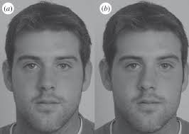 Trying revive superfoods smoothies 9 days in a row! Symmetry And Asymmetry A A Shape Symmetric Facial Composite And B Download Scientific Diagram