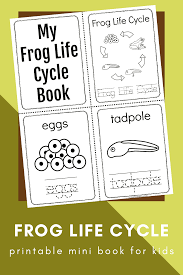 Stages of a frog life cycle for kids. Free Printable Frog Life Cycle Book For Preschoolers