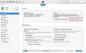 Un problème irrémédiable est survenu pendant l'initialisation des informations du paquet. Reinitialiser Iphone Sans Mot De Passe Icloud Imobie