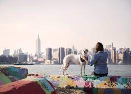 Maybe you would like to learn more about one of these? 6 Expert Tips Every Nyc Pet Owner Needs To Know Purewow