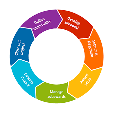 circular diagram