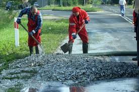 It has attracted the attention of scientists, as well as documentary coverage by the history channel in the united states. Lluvia De Peces En Honduras Todo Animal