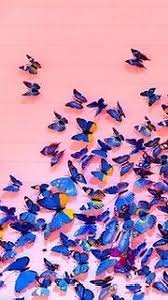 Cute Vsco Wallpaper Background Butterfly By Hloy Redbubble