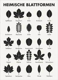 the meeting place for the outdoor world make sure you are part of the world s leading trade fair and get an overvi leaf shapes illustration design infographic