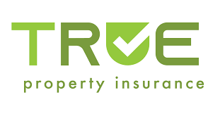 However, the company's limited online tools make the process of actually buying insurance. Orchid Insurance And Homesite Group Partner To Launch True A New Insurance Carrier To Protect Homeowners In Catastrophe Exposed States Business Wire