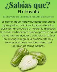 El chayote, tayota o papa del aire es tu aliado natural..