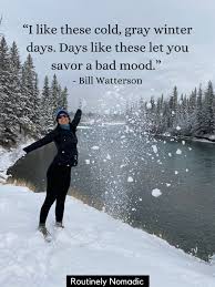 85 Funny Winter Quotes And Sayings For 2021 Routinely Nomadic