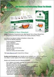 How to make chaya tea. Chaya Tree Spinach Chaya Plant Tree Spinach Garden Recipes