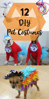 Halloween Pet Costumes A Dozen Fun Pet Costume Ideas You Can Diy For Your Pet For Halloween Hallowe Halloween Pet Costumes Dogs Pet Costumes Diy Pet Costumes