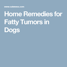 Home Remedies For Fatty Tumors In Dogs Homeremediesforcramps Homeremedyforcramps Tu Cramp Remedies Remedies For Menstrual Cramps Natural Remedies For Cramps