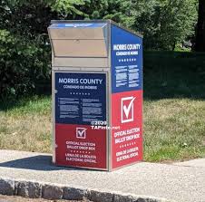 July 7 Election Will Be Primarily Mail In Don T Throw Out Your Ballot Tapinto