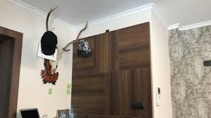 Eine riesige auswahl und sonderangebote rund um die uhr. Styropor Deckenleisten Wandleisten Stuck Hersteller