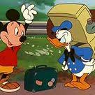 Pin By Jenny Ann On Jenny Disney Specials Mickey Color Wallpaper Iphone