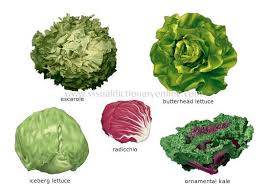 Pin On Healthy Cooking