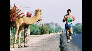 The origin of the straw that broke the camel's back. Summary Of Run Jordan Youtube