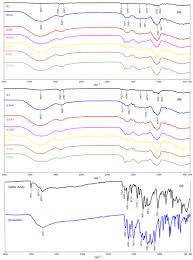 Image result for Polygala sadebeckiana