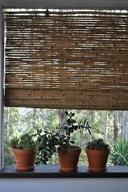 Plants Sichtschutz Fenster Innen Sichtschutz Fenster Fenster