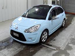 Image result for Brun Guaranja 2011 Citroen